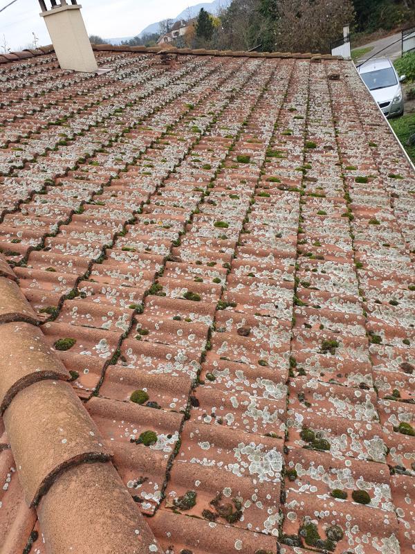 Démoussage de toiture à Saint-Cyr-sur-Mer