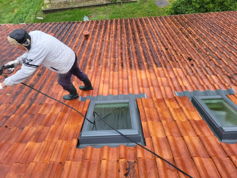 nettoyage de toiture les abrest