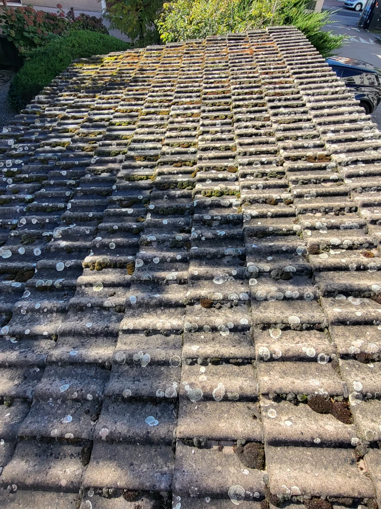 nettoyage de toiture les abrest