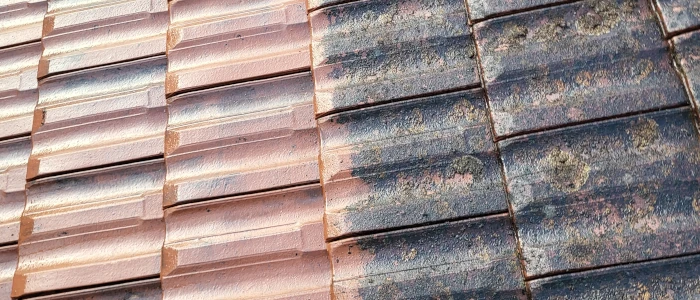 démoussage toiture voiron