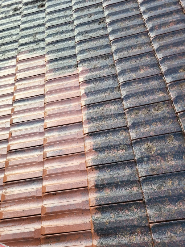 traitement de toiture voiron